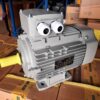 Új Lammers villanymotor (azonosító: 6629-6648) teljesítmény: 3kW, fordulat: 1400 fordulat/perc